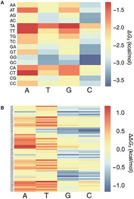 Trinucleotide Base Pair Stacking Free Energy for Understanding TF-DNA Recognition and the Functions of SNPs